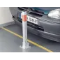 Pivote seguridad
