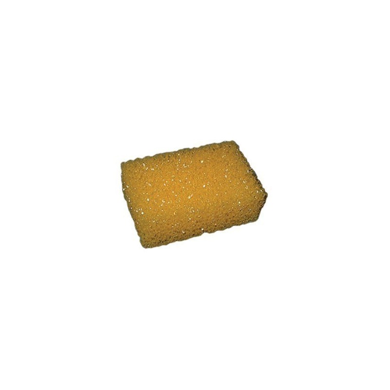 Esponja rugosa