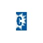 Adhesivo estrella