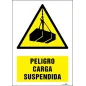 Peligro carga suspendida