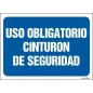 Uso obligatorio de cinturón de seguridad