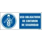 Uso obligatorio de cinturón de seguridad