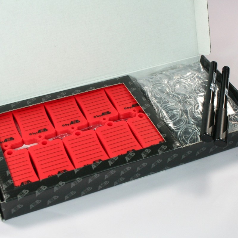 Caja 300 llaveros PVC