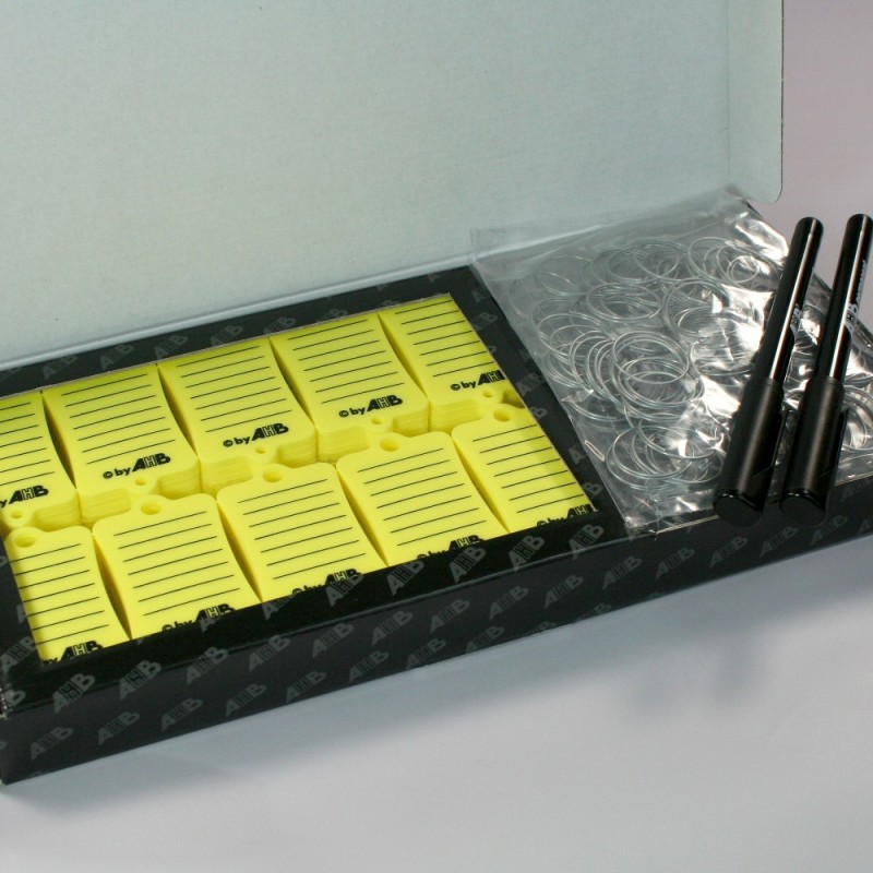 Caja 300 llaveros PVC
