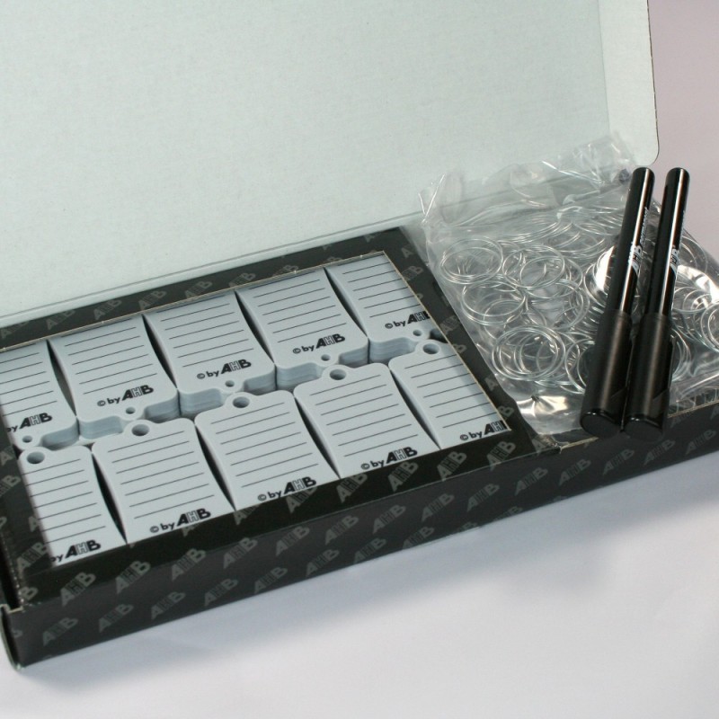 Caja 300 llaveros PVC