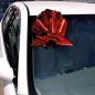 Lazo regalo coche