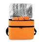 Bolsa nevera