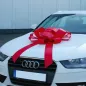Lazo regalo rojo Lazo regalo rojo