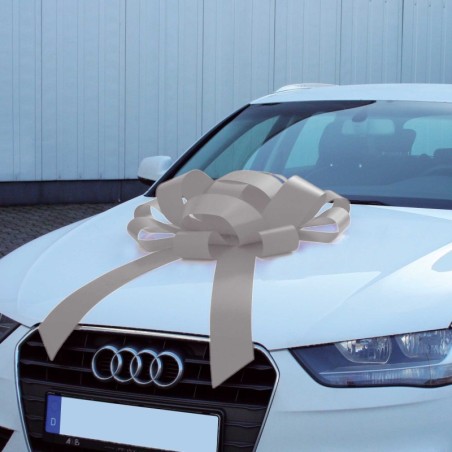 Lazo regalo plateado