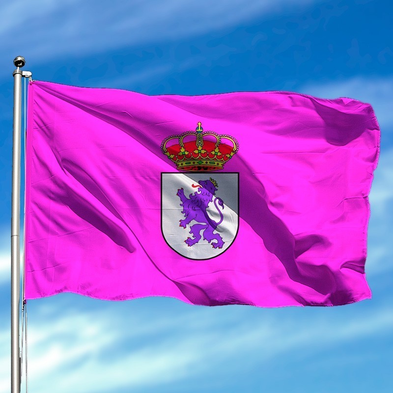 Bandera de León Bandera de León