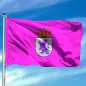 Bandera de León Bandera de León