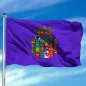 Bandera de Palencia Bandera de Palencia