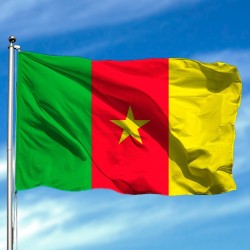 Bandera de Camerún