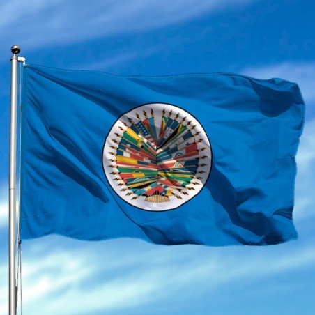 Bandera OEA